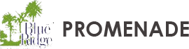 Paranjape Blueridge - Promenade